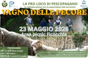 Vagno delle pecore